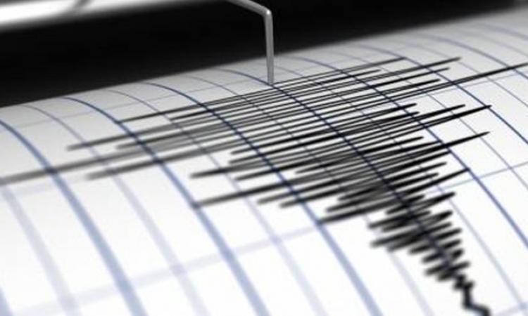 Terremoto in provincia di Macerata, scossa di magnitudo 3.8: epicentro a Treia