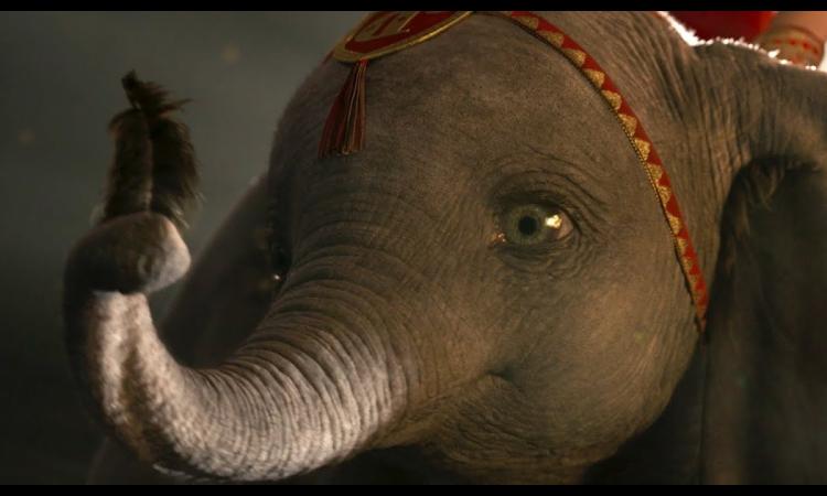 Civitanova, cosa vedere al cinema nei prossimi giorni: al Rossini arriva "Dumbo"