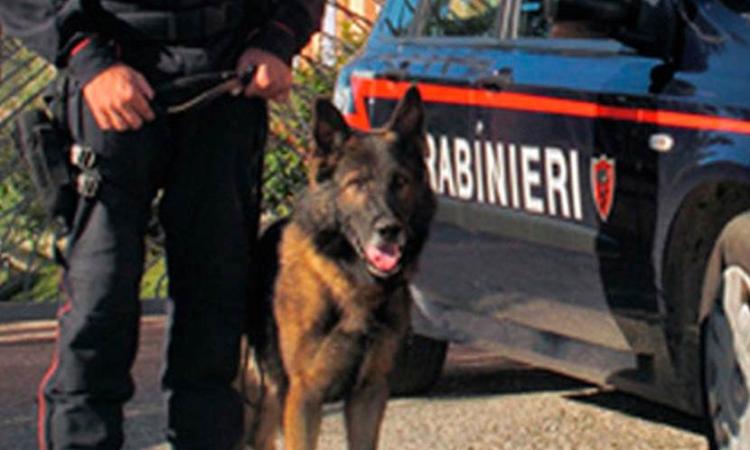 Vendevano droga ai giovani della provincia maceratese: 6 persone denunciate e numerosi sequestri Vendevano droga ai giovani della provincia maceratese: 6 persone denunciate e numerosi sequestri