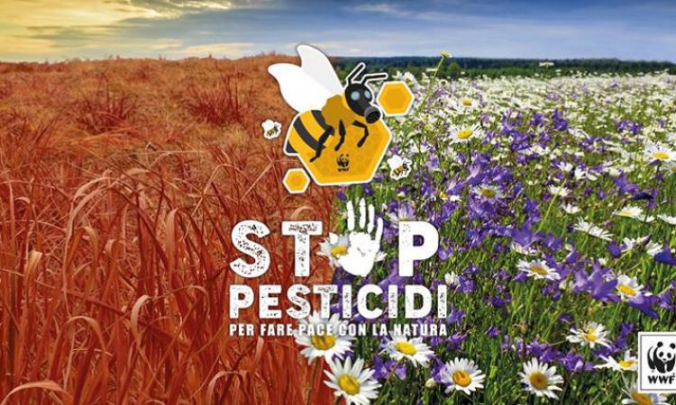 Il 14 aprile a Porto Potenza Flash Mob "Stop pesticidi" organizzato dal WWF