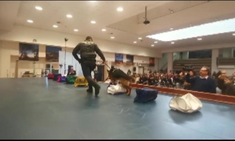 Macerata, a scuola con la Guardia di Finanza: cultura della legalità economica al centro del progetto Macerata, a scuola con la Guardia di Finanza: cultura della legalità economica al centro del progetto