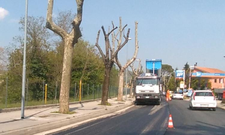 San Severino, al via lavori di manutenzione straordinaria in alcune strade San Severino, al via lavori di manutenzione straordinaria in alcune strade