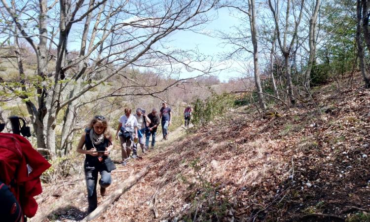 25 aprile lungo i sentieri dei partigiani con l'Istituto Storico di Macerata (FOTO) 25 aprile lungo i sentieri dei partigiani con l'Istituto Storico di Macerata (FOTO)