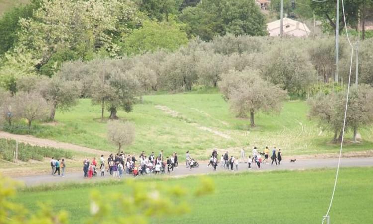 Treia, grande attesa per la Magnalonga del 1° maggio: scopri come partecipare Treia, grande attesa per la Magnalonga del 1° maggio: scopri come partecipare