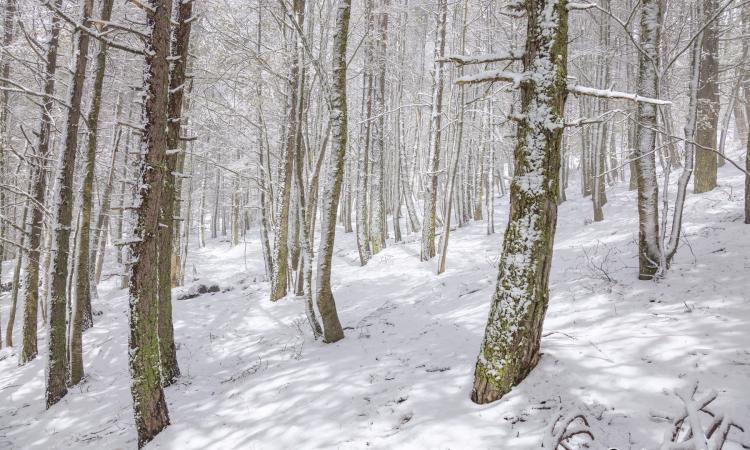 Neve di Maggio a Frontignano di Ussita, la foto-storia di un escursione con la Guida (FOTO)