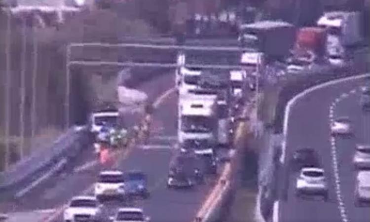 Drammatico incidente in A14, scontro tra quattro auto: due morti e un ferito Drammatico incidente in A14, scontro tra quattro auto: due morti e un ferito