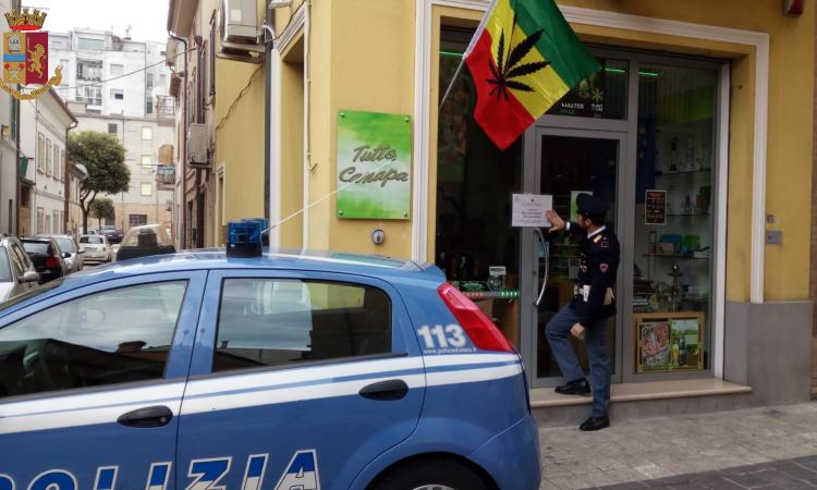 Civitanova, il questore Pignataro chiude altri due negozi di "cannabis light" (VIDEO) Civitanova, il questore Pignataro chiude altri due negozi di "cannabis light" (VIDEO)