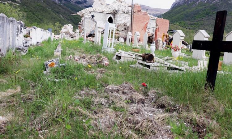 Ussita, cinghiali "profanano" il cimitero di Castelmurato