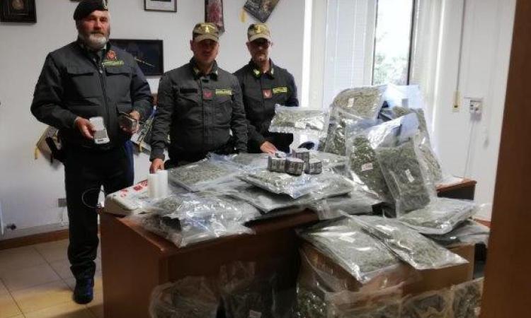 Blitz in un casolare di Montecosaro: sequestrati oltre 30 chili di droga, arrestato