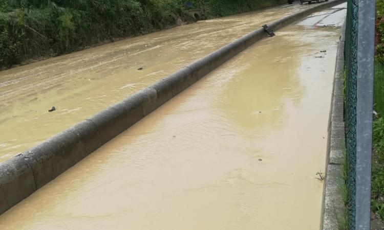 Tolentino, continui allagamenti in Contrada Piani Bianchi: residenti esasperati (FOTO e VIDEO)