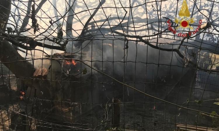 Montefano, fiamme in un vecchio pollaio: coinvolti animali da cortile (FOTO)