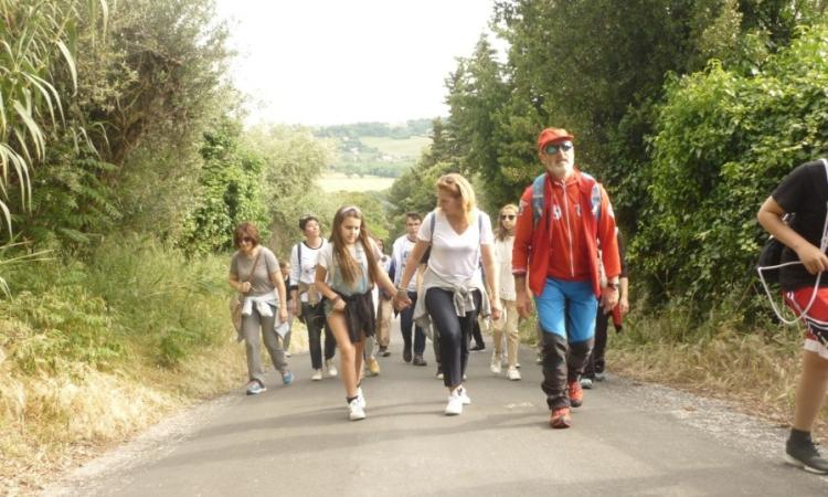 Potenza Picena, chiusura delle attività del progetto PON per 52 alunni del "Sanzio" Potenza Picena, chiusura delle attività del progetto PON per 52 alunni del "Sanzio"