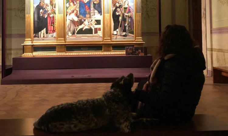 A Recanati musei Dog Friendly