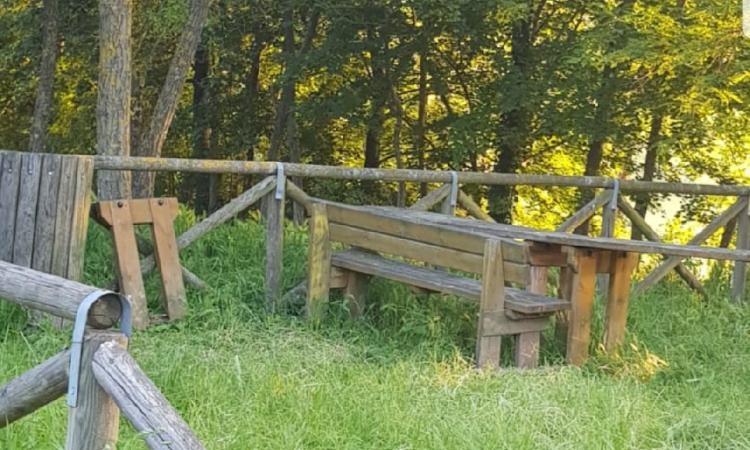 Tolentino, la denuncia dei residenti di Contrada Le Grazie: "Aree verdi in completo abbandono" (FOTO)