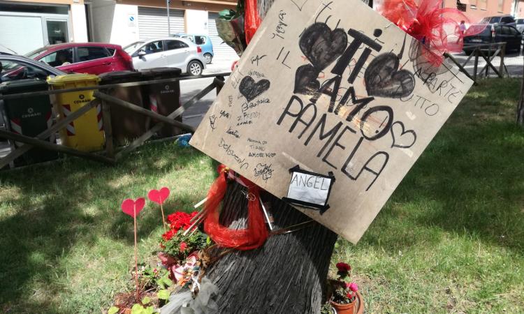Macerata, rubati ceri e peluche in ricordo di Pamela Mastropietro. La famiglia: "Gesto da imbecilli" Macerata, rubati ceri e peluche in ricordo di Pamela Mastropietro. La famiglia: "Gesto da imbecilli"