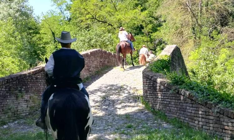 Aperta l'Ippovia del Tenna: 35 chilometri tra le bellezze del Maceratese e del Fermano (FOTO) Aperta l'Ippovia del Tenna: 35 chilometri tra le bellezze del Maceratese e del Fermano (FOTO)