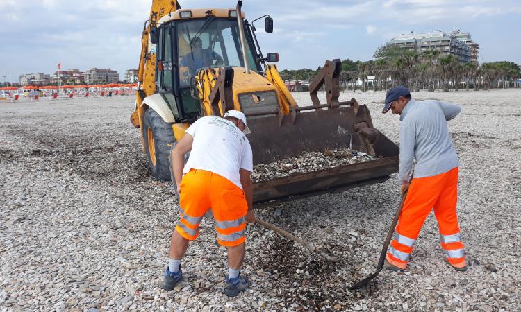 Civitanova, l'Assessore Cognigni replica all'iniziativa "Ripuliamo l'Adriatico" Civitanova, l'Assessore Cognigni replica all'iniziativa "Ripuliamo l'Adriatico"