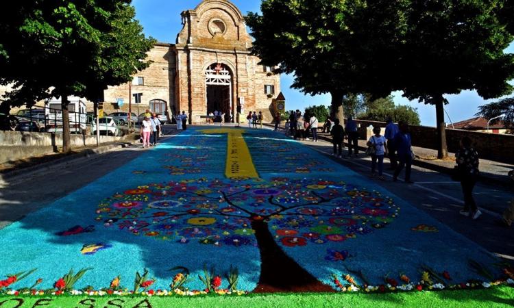 Esplosione di colori e profumi a Corridonia: torna l'Infiorata del Corpus Domini
