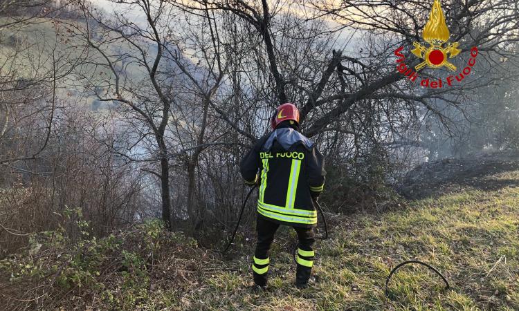 Incendio boschivo a Monte San Martino: intervento dei Vigili del Fuoco