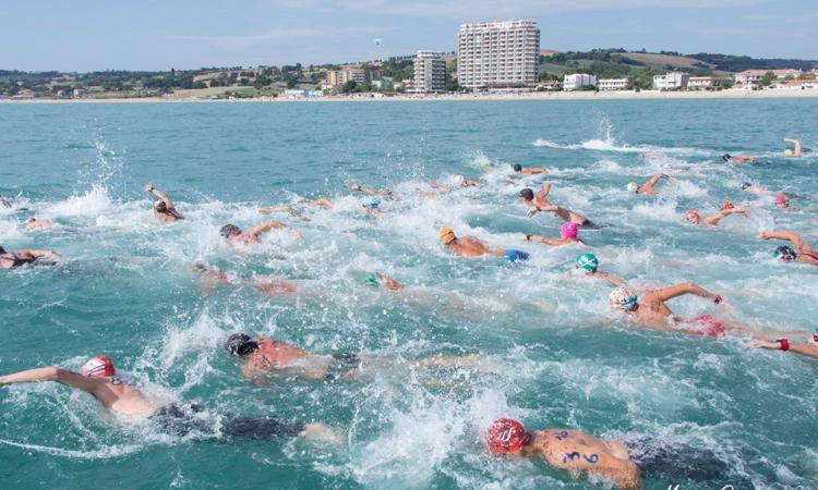 Al via la "Nuotatona" da Porto Potenza a Civitanova: atleti da tutta Italia