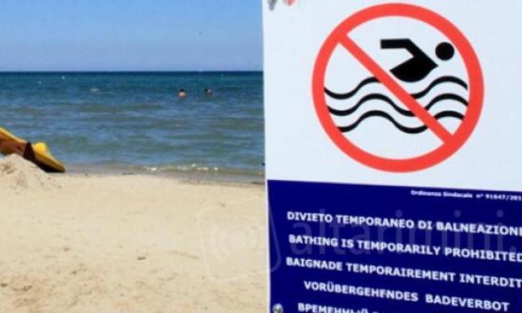 Civitanova, divieto di balneazione. Ciarapica: "L’escherichia coli non è più presente" Civitanova, divieto di balneazione. Ciarapica: "L’escherichia coli non è più presente"
