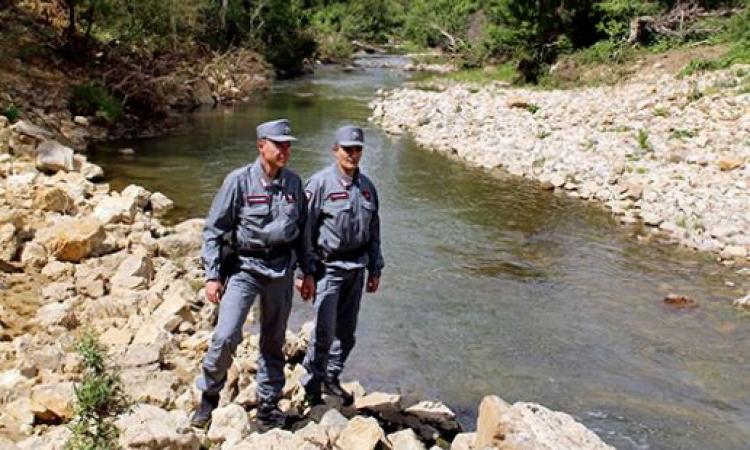 Piscina, strutture in legno, pannelli e pavimentazioni in cemento abusivi: intervento dei Carabinieri Forestali Piscina, strutture in legno, pannelli e pavimentazioni in cemento abusivi: intervento dei Carabinieri Forestali