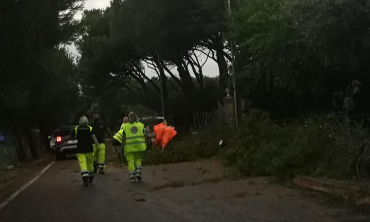 Maltempo, viabilità in tilt: Statale 16 e strada Regina bloccate Maltempo, viabilità in tilt: Statale 16 e strada Regina bloccate