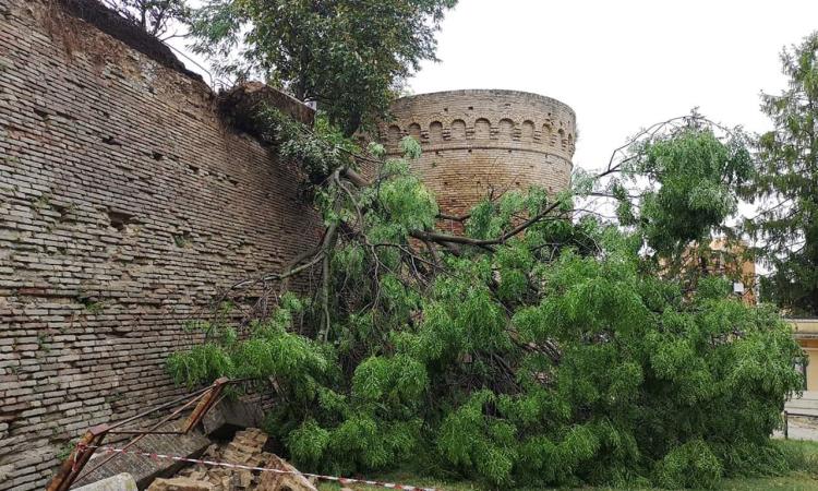 Recanati, Simonacci: "Il maltempo ha devastato la città" Recanati, Simonacci: "Il maltempo ha devastato la città"