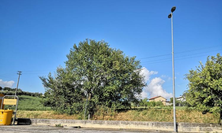 Montecassiano, la denuncia dei residenti: "Siamo senza corrente elettrica da 36 ore" Montecassiano, la denuncia dei residenti: "Siamo senza corrente elettrica da 36 ore"