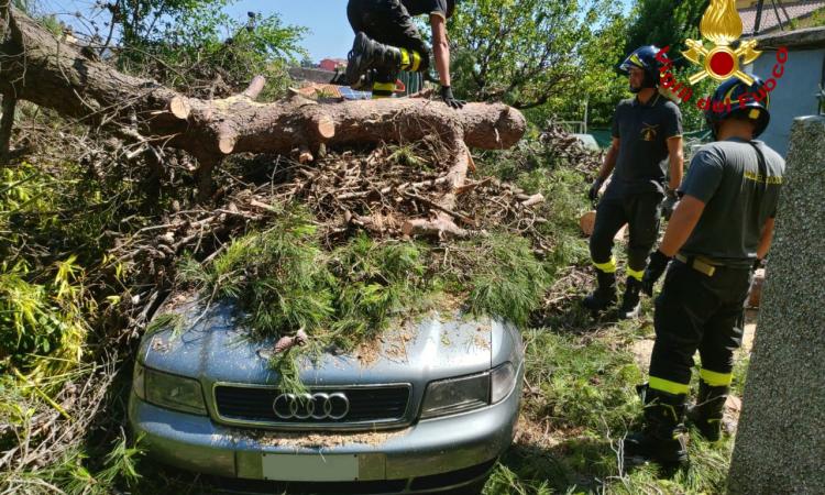 Maltempo, Vigili del Fuoco di Macerata ancora in azione (FOTO) Maltempo, Vigili del Fuoco di Macerata ancora in azione (FOTO)