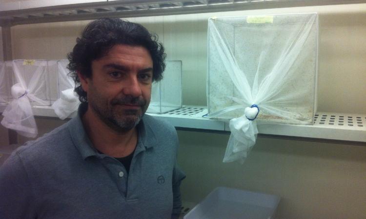 Unicam, il professor Guido Favia eletto vice Direttore dell'Italian Malaria Network