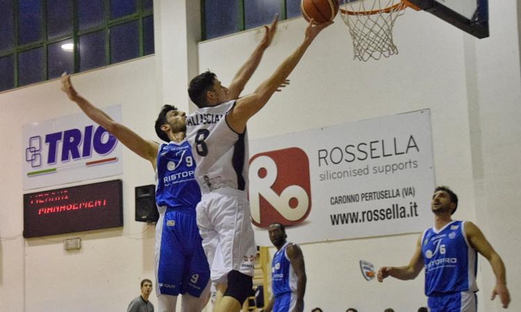 Basket, accordo tra Rossella Virtus Civitanova e Marco Vallasciani: c'è la conferma