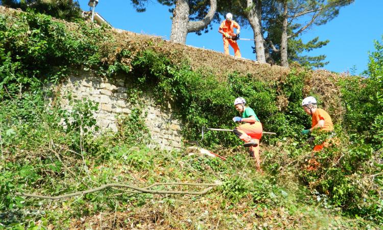 Il cuore grande degli Alpini "in campo" per la bellezza di San Ginesio (FOTO)