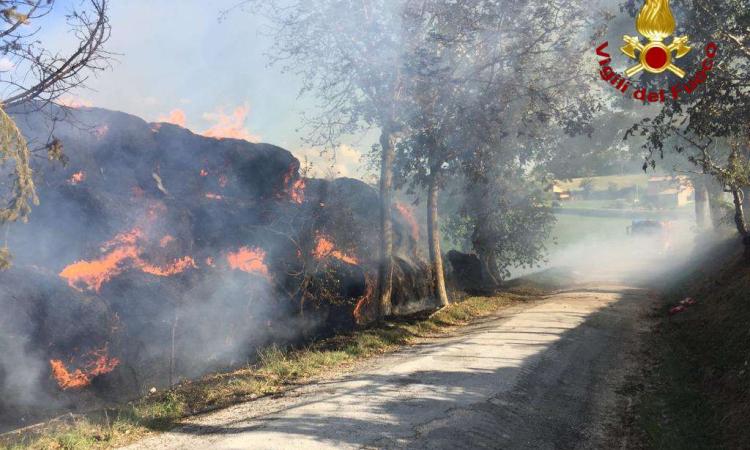 Camerino, vasto incendio in un fienile: Vigili del Fuoco in azione (FOTO)