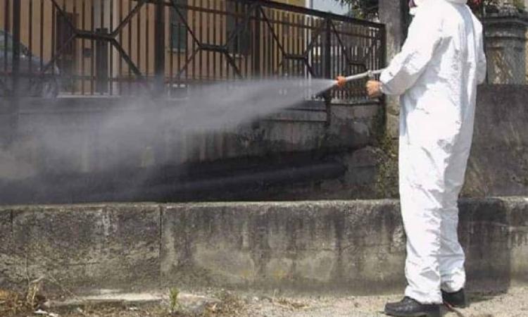Area Vasta 3, nuovo servizio di disinfestazione: dove e quando