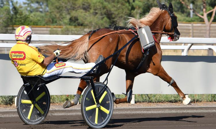 All'Ippodromo San Paolo si elegge il campione italiano: i nomi dei 10 driver finalisti All'Ippodromo San Paolo si elegge il campione italiano: i nomi dei 10 driver finalisti