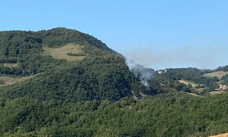 Bosco in fiamme a Valfornace: Vigili del Fuoco in azione (FOTO)