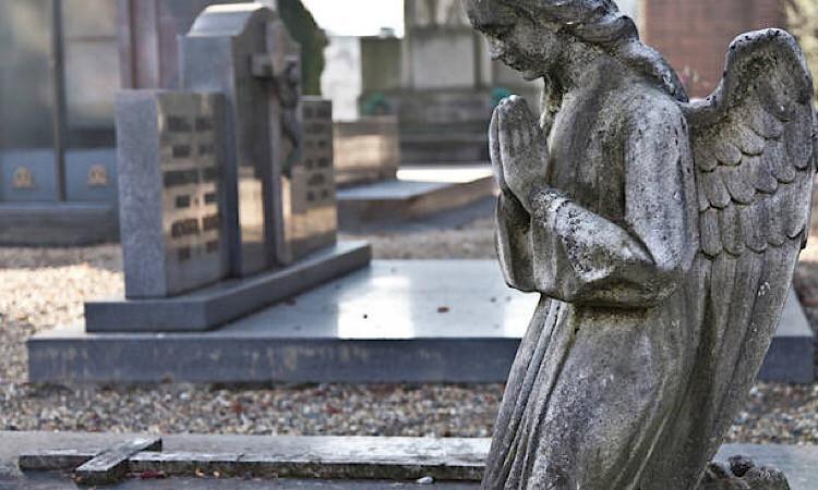 Recanati, completati i lavori d'ampliamento del cimitero comunale: opera da 550mila euro Recanati, completati i lavori d'ampliamento del cimitero comunale: opera da 550mila euro