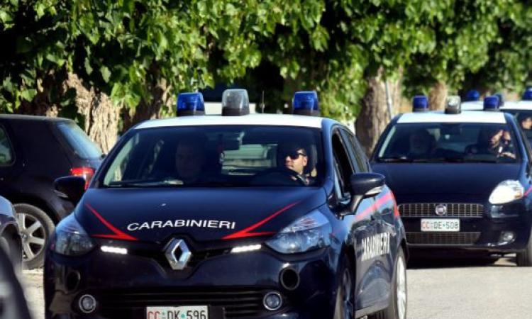 Recanati, calci al cane e minacce di morte alla padrona: denunciato un 60enne Recanati, calci al cane e minacce di morte alla padrona: denunciato un 60enne