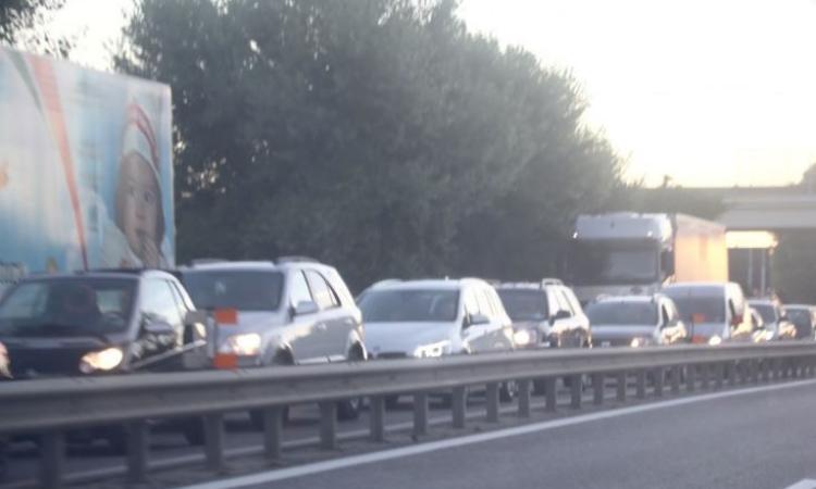 Montecosaro, cade il ramo di un albero lungo la Superstrada: traffico bloccato