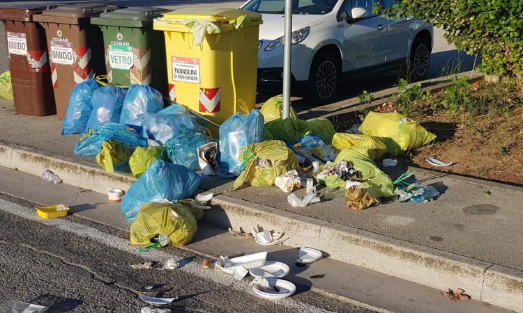 Montecosaro, spazzatura in strada nonostante la festa e gli animali banchettano