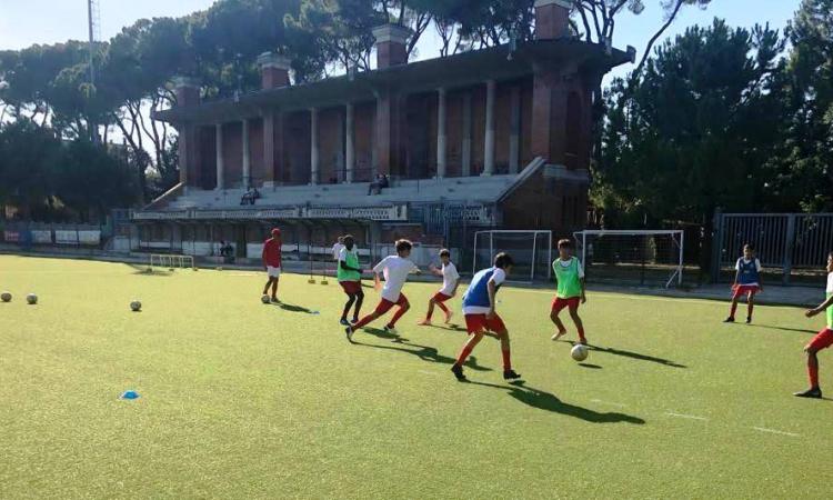 Maceratese, primo allenamento per le squadre Allievi (FOTO) Maceratese, primo allenamento per le squadre Allievi (FOTO)