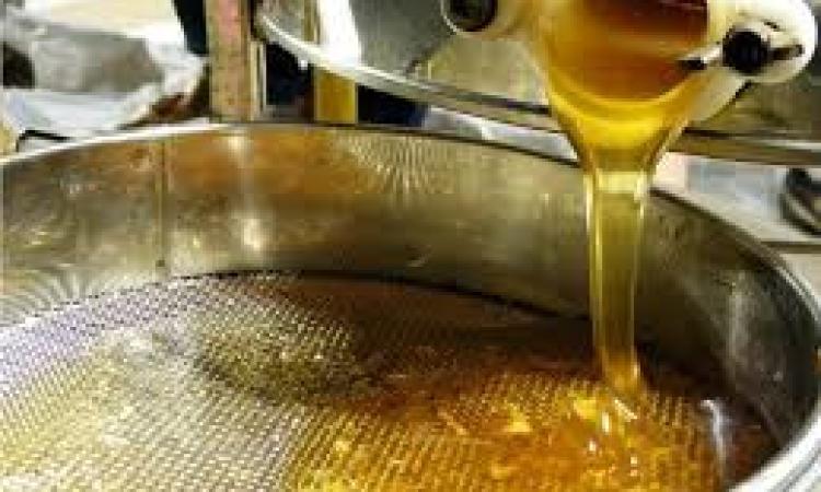 A Montelupone torna Apimarche, la storica kermesse dei mieli e dei suoi derivati A Montelupone torna Apimarche, la storica kermesse dei mieli e dei suoi derivati