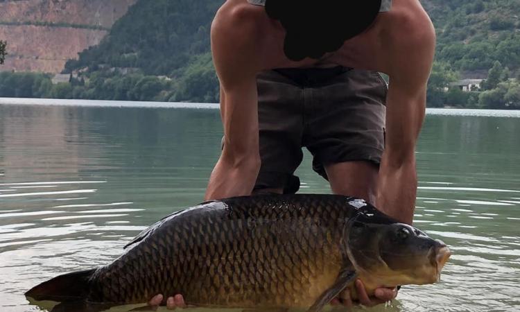 Allarme moria di carpe sul lago di Caccamo: lunedì 9 settembre un incontro per fare luce sul fenomeno