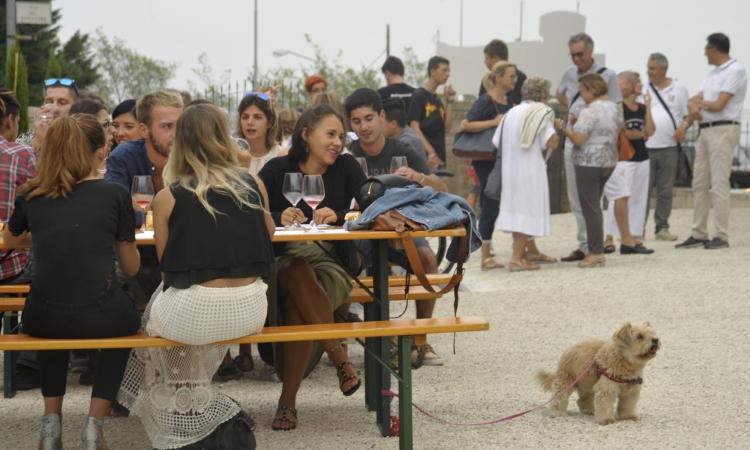 Montefano, grande successo per l'evento del bere responsabile alla Casa Vinicola Accattoli