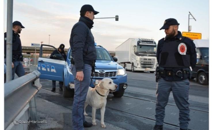 Il cane Wally in azione nel casolare dello spaccio: scatta la denuncia