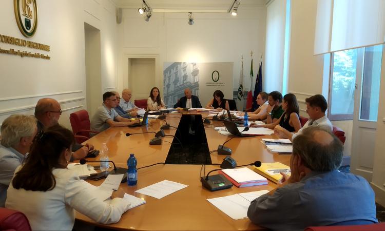 Regione, piano sociosanitario 2019-2021: riprende l'esame in commissione