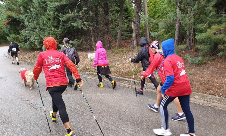 Treia, un grande successo la prima edizione di "Autunno in Sport" Treia, un grande successo la prima edizione di "Autunno in Sport"