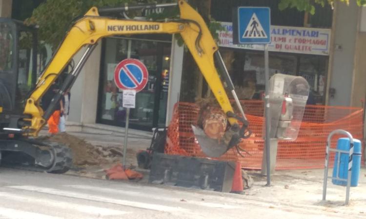 Macerata, "Non abbattete i pini!": la segnalazione dei residenti di viale Martiri della Libertà Macerata, "Non abbattete i pini!": la segnalazione dei residenti di viale Martiri della Libertà