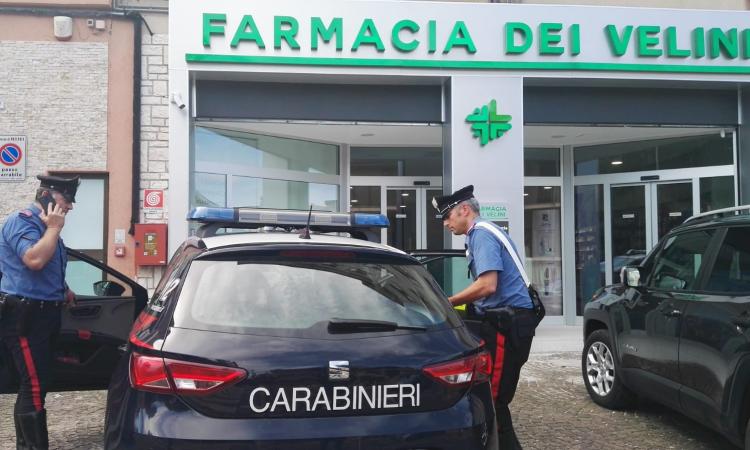Macerata, rapina nella farmacia in via dei Velini: farmacista si aggrappa all'auto in fuga ma cade a terra (FOTO) Macerata, rapina nella farmacia in via dei Velini: farmacista si aggrappa all'auto in fuga ma cade a terra (FOTO)